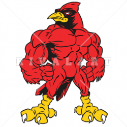 Mascot Clipart Image of Cardinal With Muscles In Color ...