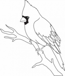 Cardinal black and white clipart | Bird outline, Black ...