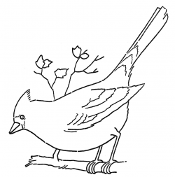 Free Free Cardinal Clipart, Download Free Clip Art, Free ...