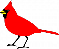 Free Free Cardinal Clipart, Download Free Clip Art, Free ...