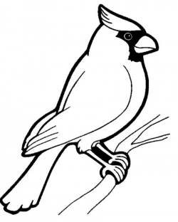 Cardinal clipart black and white, Cardinal black and white ...