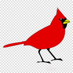Cardinal Bird clipart - Bird, Drawing, Silhouette ...