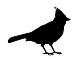 Cardinal Silhouette Decal Sticker | Bird silhouette, Bird ...