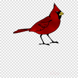 Cardinal Bird clipart - Bird, Silhouette, Red, transparent ...
