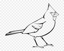 28 Collection Of Cardinal Clipart Black And White - Red Bird ...