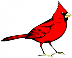 Free Cardinal Clipart Pictures - Clipartix