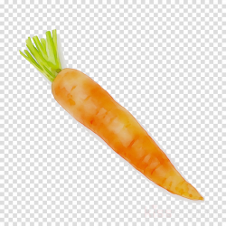 Carrot Cartoon clipart - Juice, Vegetable, Bread ...