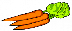 Carrot clipart 5 gif - Clipartix