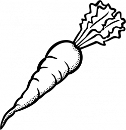 Carrots Clipart Black And White | Free download best Carrots ...