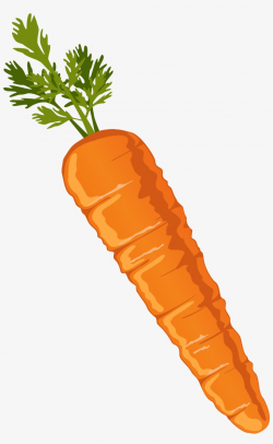Food Clipart, Carrot Drawing, Carrots, Clip Art, Image ...