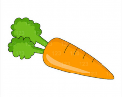 Free Picture Of Carrot, Download Free Clip Art, Free Clip ...