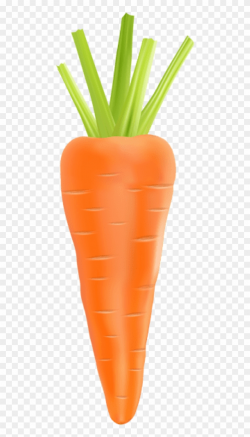 Free Png Download Carrot Transparent Png Images Background ...