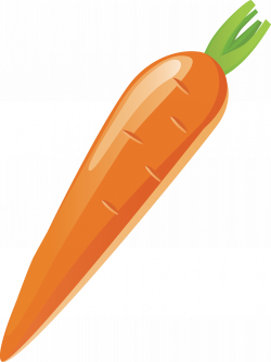 Carrot Vegetable - Carrot vector png download - 1966*2624 ...