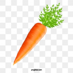 Carrot Png, Vector, PSD, and Clipart With Transparent ...