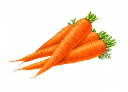 Cartoon Carrot Clipart | Carrots, Vegetables, Food clipart