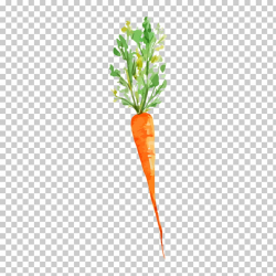 Vegetable Watercolor painting Carrot Drawing, Drawing carrot ...