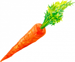 Free Black And White Carrot Clipart, Download Free Clip Art ...
