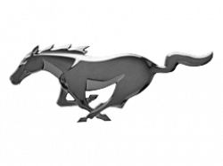 Shelby Mustang Logo, HD Png, Information | Carlogos.org