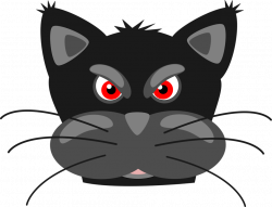 Cat image angry - RR collections