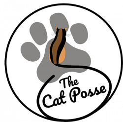 The Cat Posse