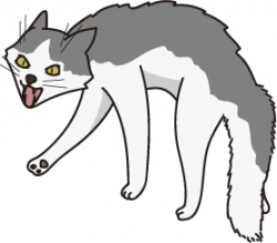 Cat behaviour course for hoomans – Befriend Your Cat – Awareness