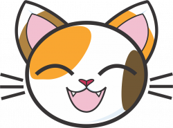 Cat face png picture transparent stock - RR collections