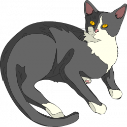 Grey cat banner transparent download - RR collections