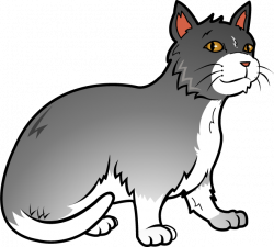 Gray tabby cat vector royalty free download - RR collections