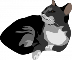 grey tabby cat clipart - image #5