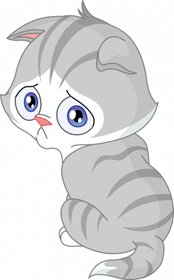 Grey cat banner transparent download - RR collections