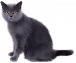 Grey Cat Clipart | cats an dogs | Pinterest | Cats, Cat clipart and ...