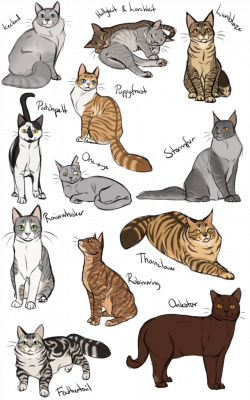 How to cat again 3 by AnnMY.deviantart.com on @DeviantArt | Warriors ...