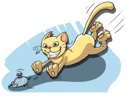 Cat chasing a mouse clip library stock - RR collections