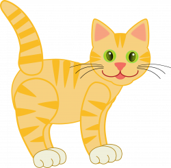 Orange and yellow cat banner freeuse stock - RR collections
