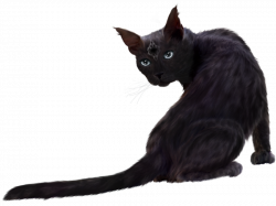 Black Cat PNG Clipart Vector, Clipart, PSD - peoplepng.com