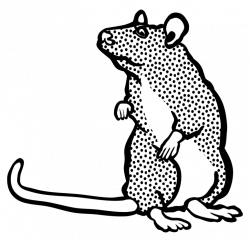 Cat Black and white Rat Computer Icons free commercial clipart - Cat ...