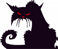 Scared black cat royalty free download - RR collections