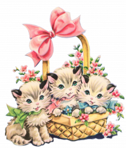 Spring cat image free - RR collections