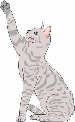 Free Striped Cat Clipart, 1 page of free to use images