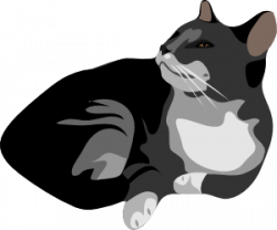 Gatto Cat Clip Art at Clker.com - vector clip art online, royalty ...