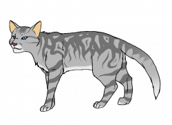 Gray tabby cat vector royalty free download - RR collections