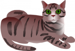 Tabby Cat Clipart