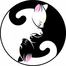 Cat tattoo vector black and white download - RR collections