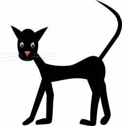 Free Cat Cliparts Transparent, Download Free Clip Art, Free Clip Art ...