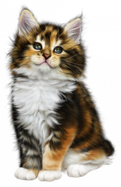 Мобильный LiveInternet Без заголовка | rosalindadoudou - Дневник ...