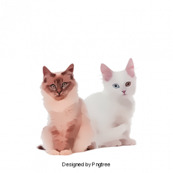 Cat PNG Images, Download 19,543 PNG Resources with Transparent ...