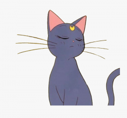 Black-cat - Sailor Moon Cat Aesthetic , Free Transparent ...