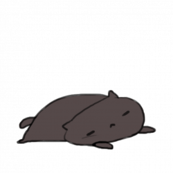 Gfycat Kitten GIF Kawaii - Cat png download - 1024*1024 ...