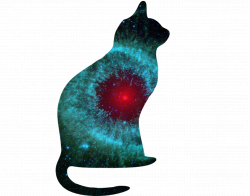 Top Space Cats Stickers for Android & iOS | Gfycat