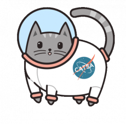Elon Musk Cat Sticker by Meowingtons for iOS & Android | GIPHY